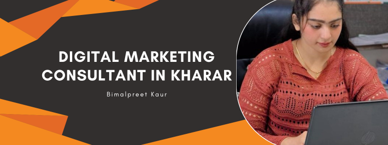 Digital Marketing Consultant in Kharar, Punjab